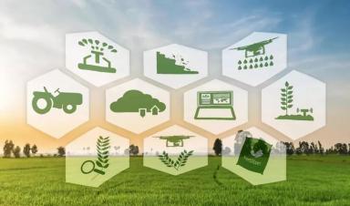 借鑒國際經(jīng)驗 加快我國智慧農(nóng)業(yè)發(fā)展